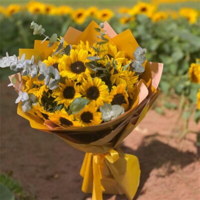 Sun Flowers